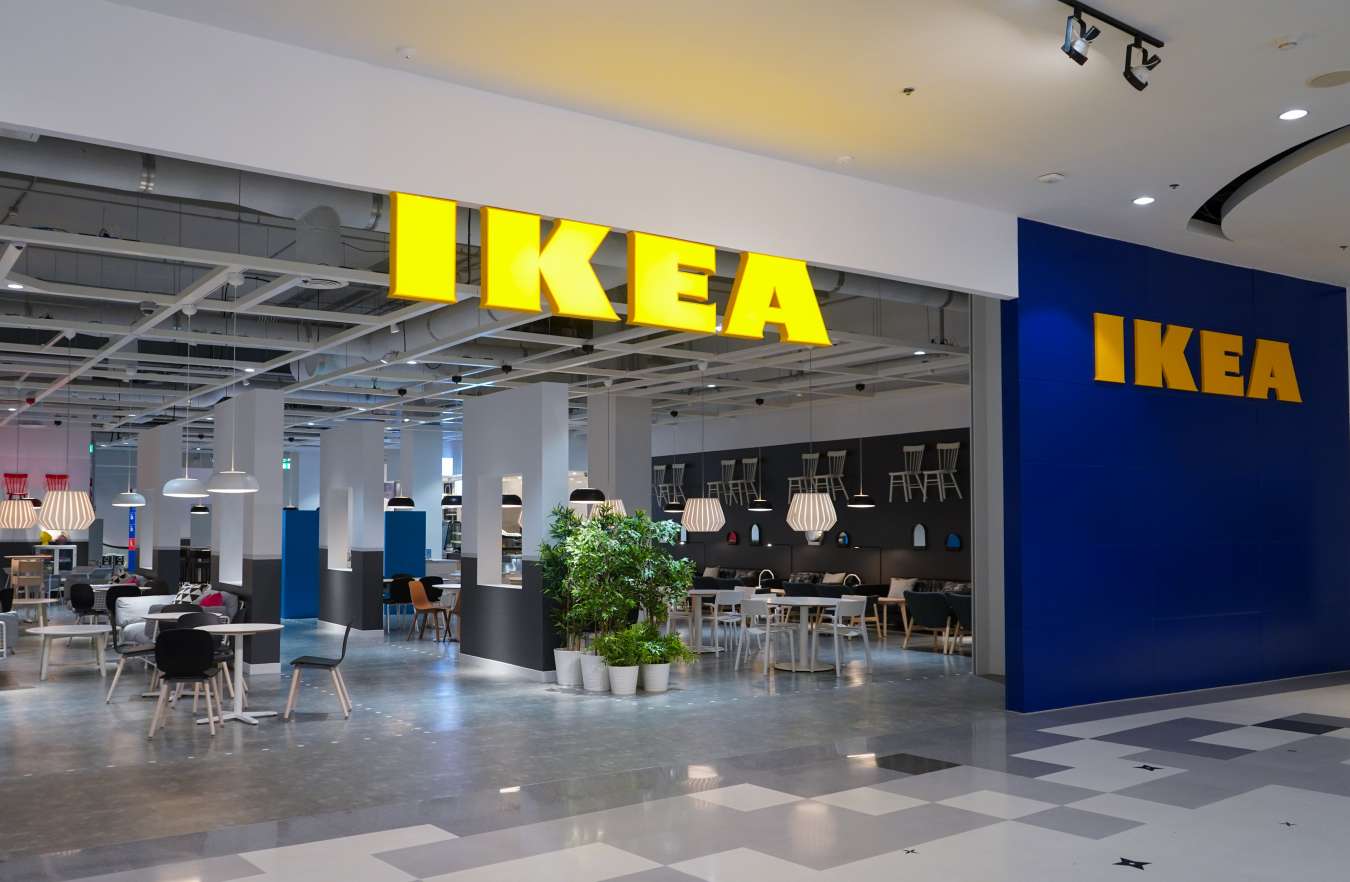 IKEA викупила у Штатах тисячі гектарів лісу для збереження екосистеми