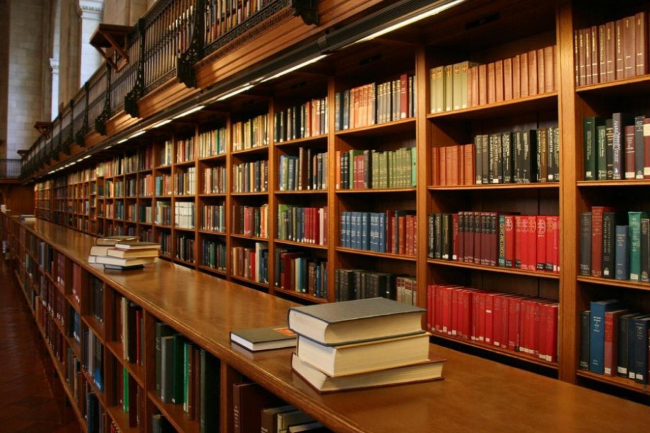 В Україні створили робота-бібліотекаря, який допомагає обрати книжку