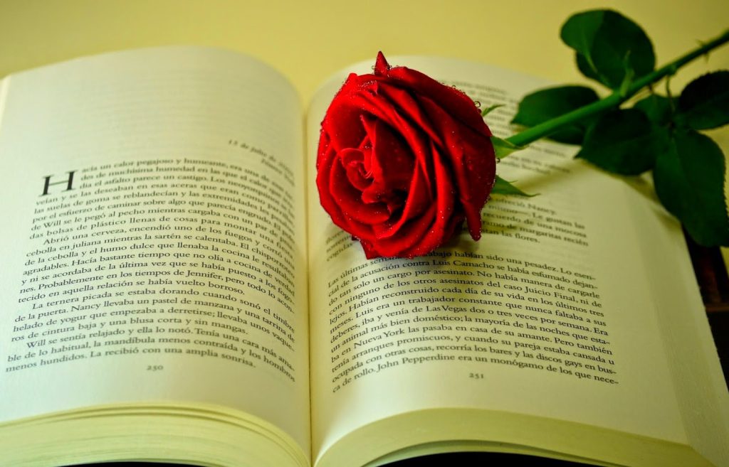 В Україні обрали найкрасивішу книгу року