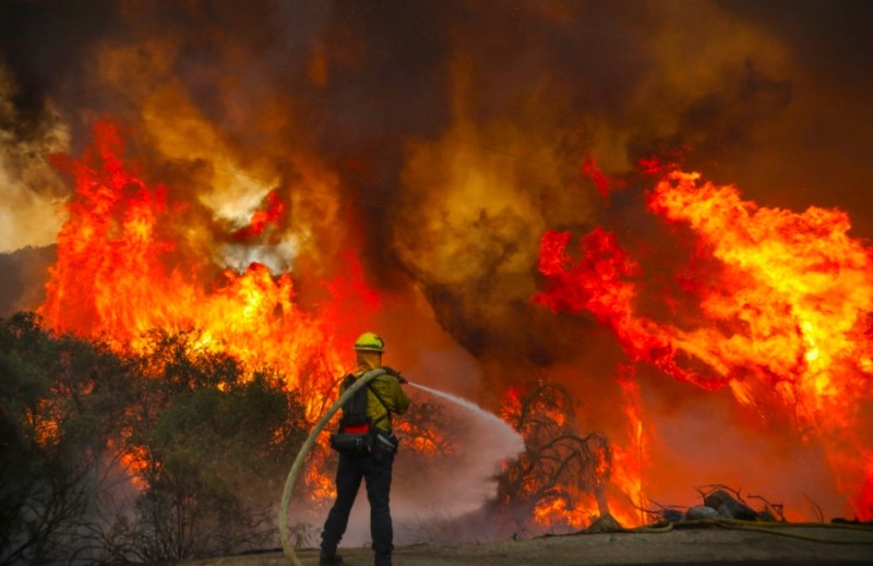 На тлі аномальної спеки в Каліфорнії лютують лісові пожежі