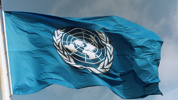 ООН направить до України гуманітарну допомогу