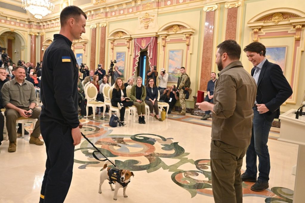 Славнозвісний пес-сапер Патрон отримав медаль від Володимира Зеленського