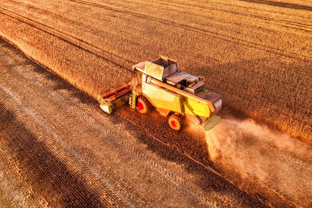 Росія вкрала українську пшеницю на 1 мільярд доларів – NASA