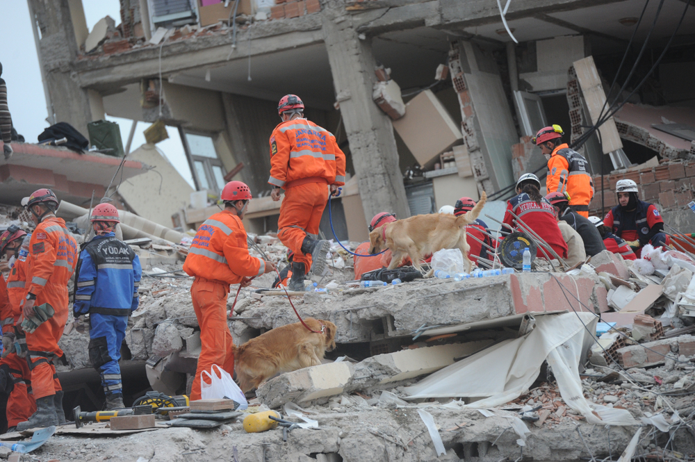 Землетрус у Туреччині ймовірно забрав життя двох громадян України: МЗС