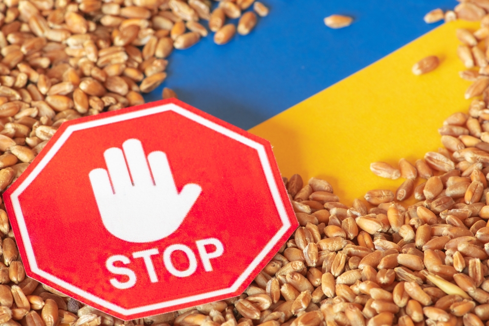 Росія заявляє, що продовжить «зернову угоду» лише на своїх умовах