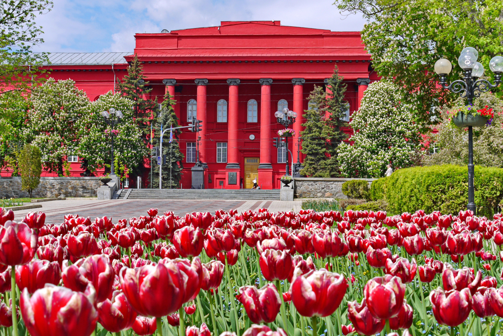 11 вишів України увійшли до рейтингу найкращих університетів світу