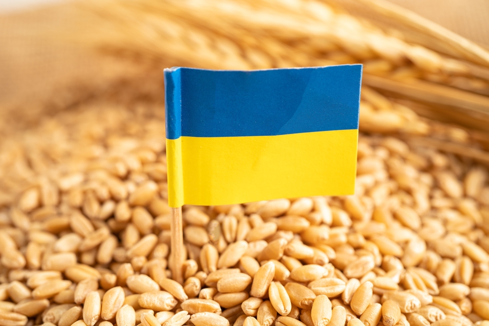 За минулий рік Росія викрала понад 6 млн тонн українського зерна: Конгрес США
