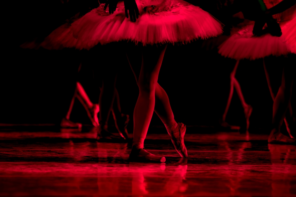 Через протести активістів скасовано виступ російського балету в Нью-Йорку