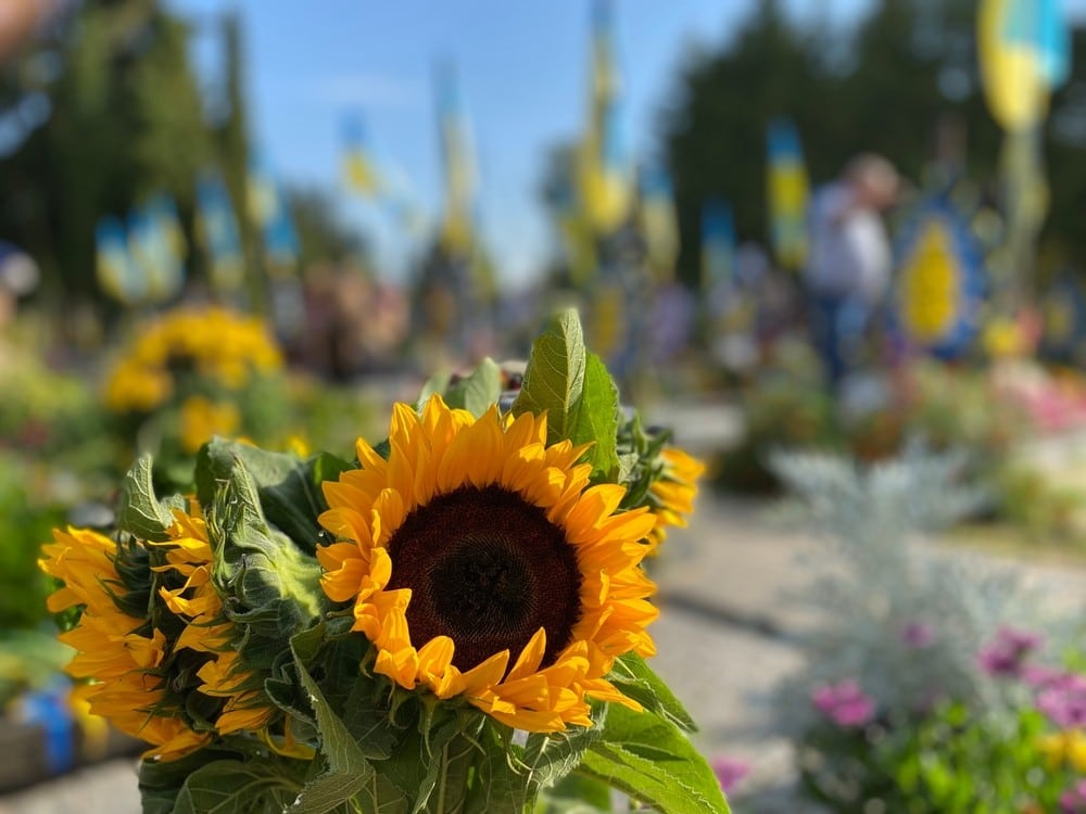 29 серпня — День пам’яті загиблих захисників України