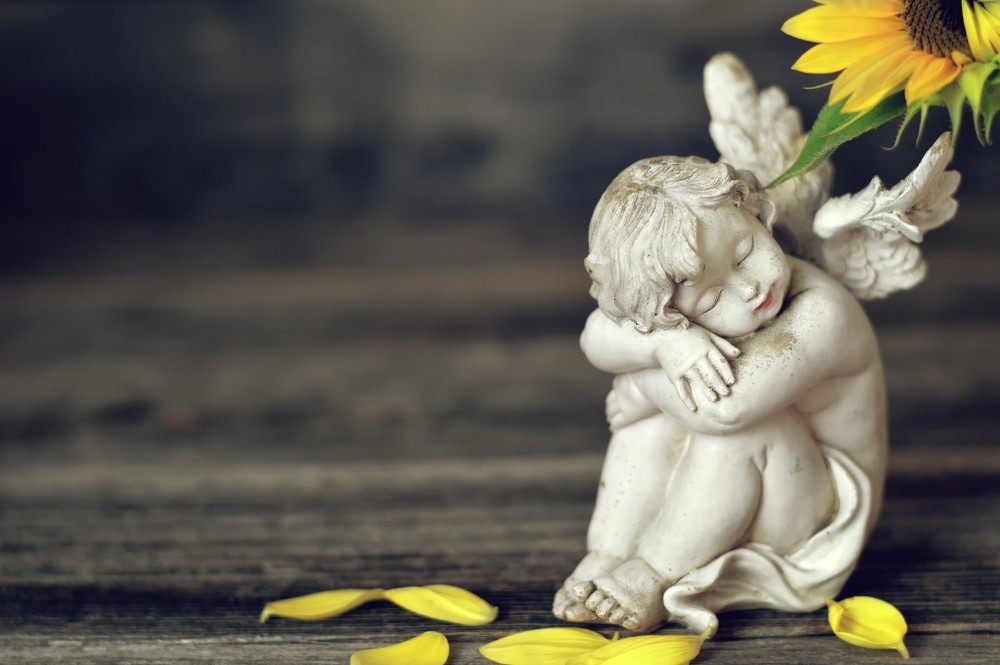 родина Базилевич, війна, війна в Україні, Львів