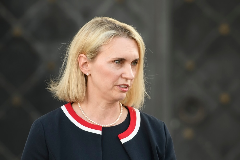 Екс-посол США в Україні: "Мирний план Білого дому містив всі побажання Путіна"