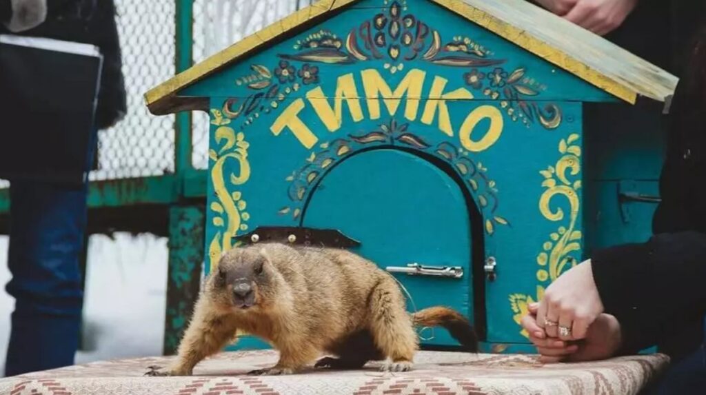 Бабак Тимко спрогнозував весну‑2026: традиція триває попри війну
