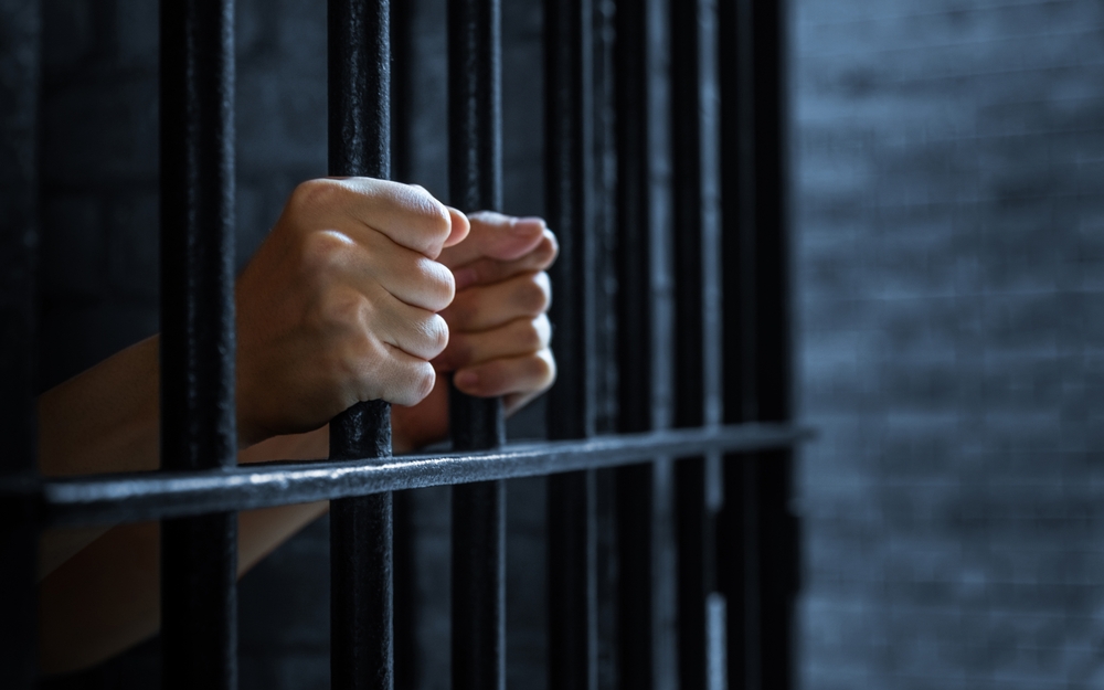 В Індії затримали громадян України та США за підозрою у підготовці терактів